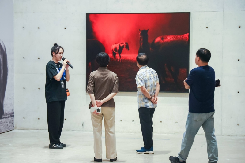 影像作品展。受訪單位供圖