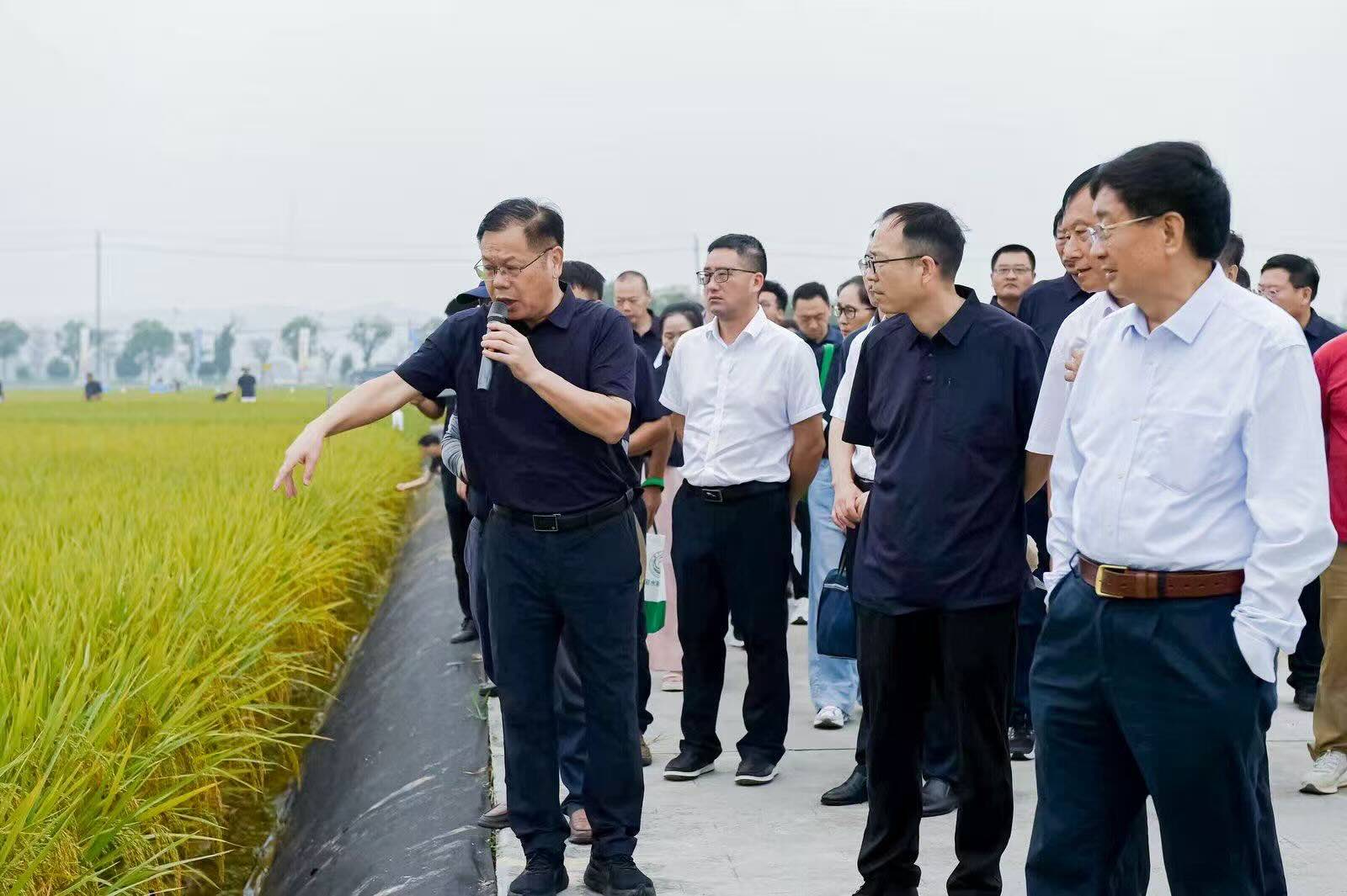 與會代表赴長沙縣路口鎮金健種業科研示范基地進行田間觀摩。單位供圖