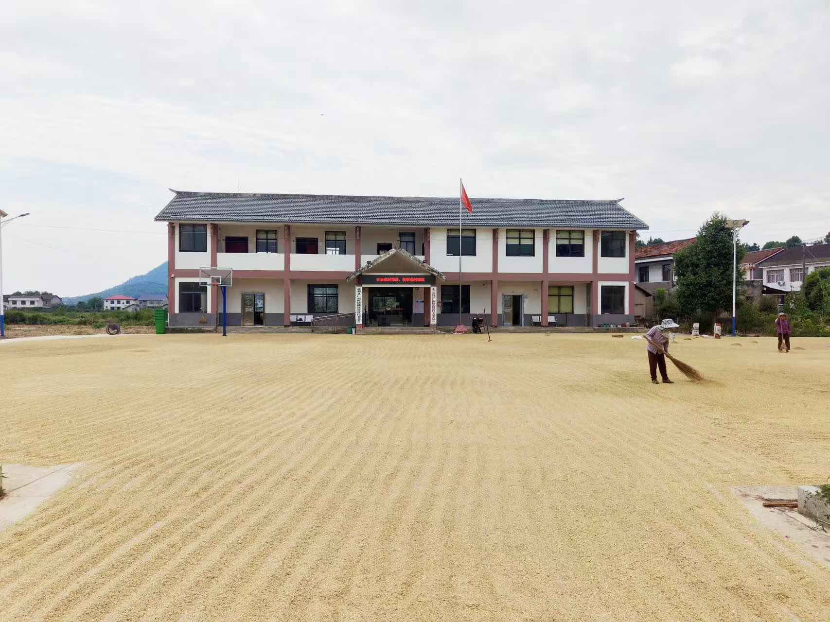 當地農戶在村部廣場晒糧。受訪單位供圖
