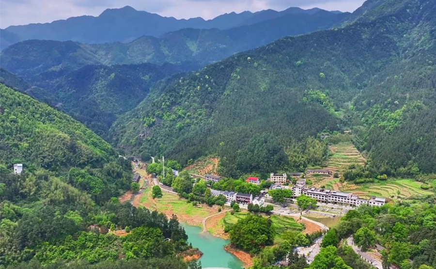 路通深山。受訪單位供圖