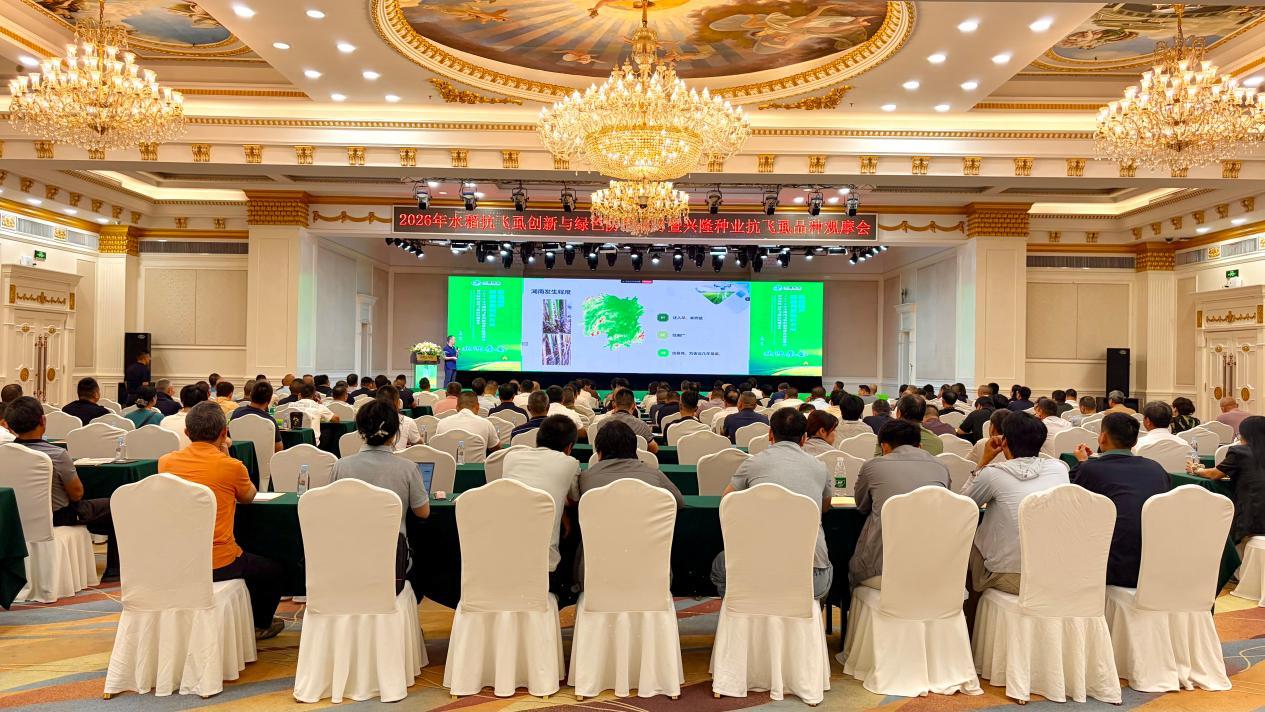 会议现场。受访单位供图