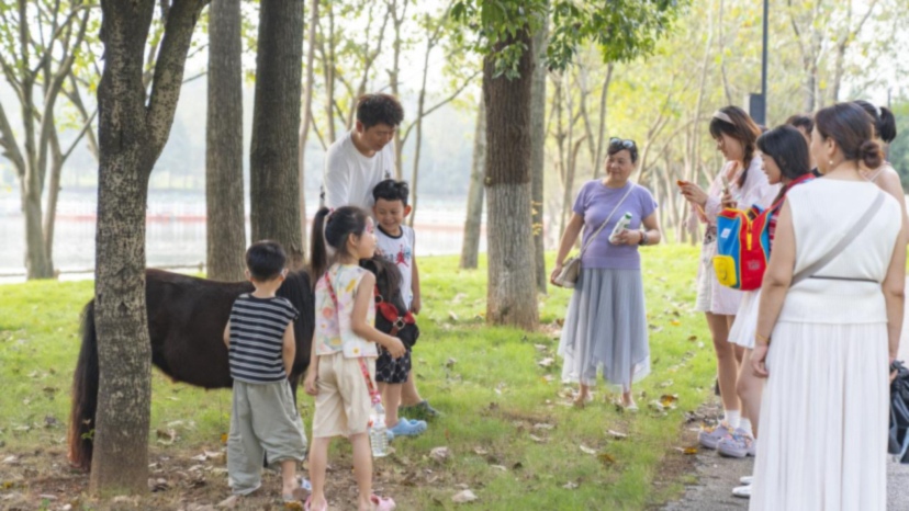 草坪上活動多樣，大人小孩同台參與，歡聲笑語不斷。單位供圖