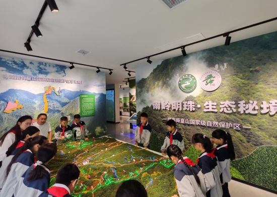 現場。鄢躍斌攝