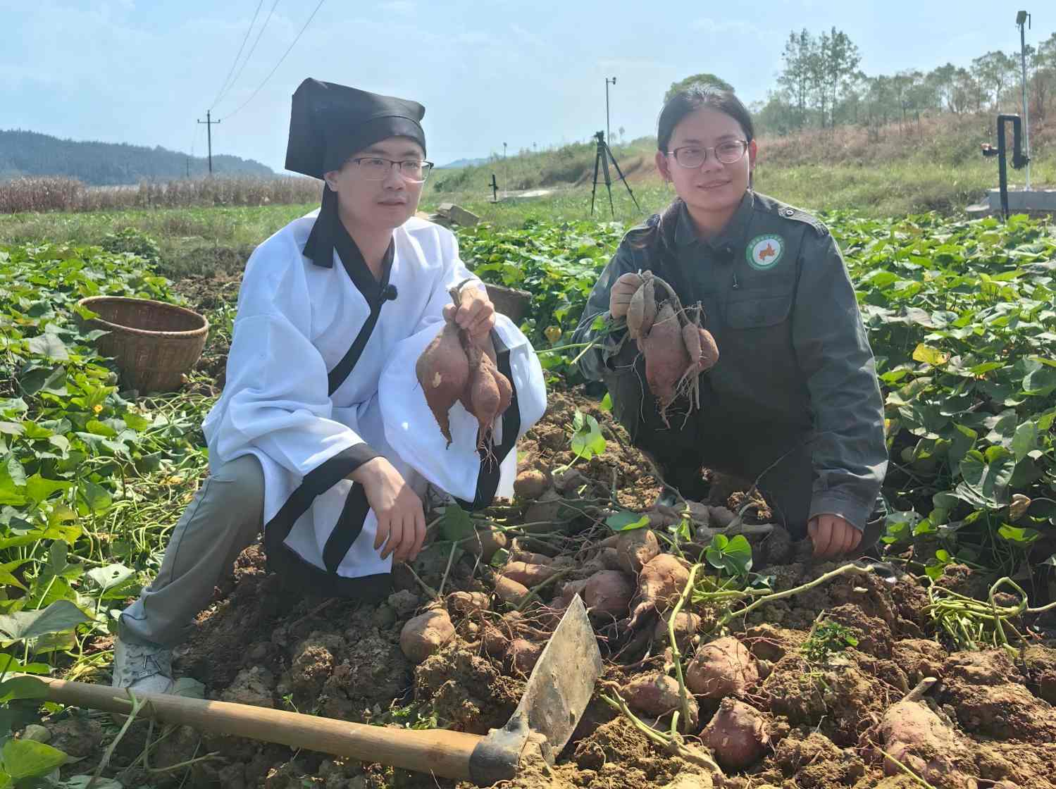 寒露節氣微短劇拍攝現場,“書生”裝扮的演員正下地挖紅薯。單位供圖