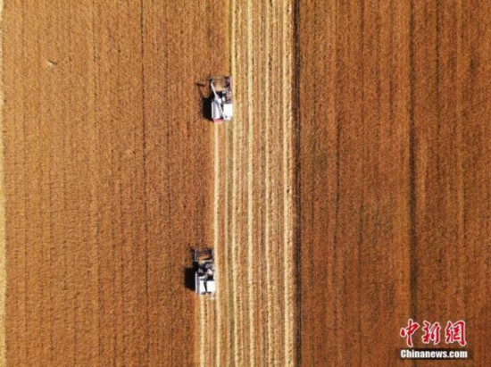 ͼʡСճ <a target='_blank'  data-cke-saved-href='http://www.chinanews.com/' href='http://www.chinanews.com/'><p  align=