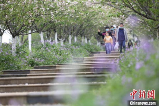 ����ͼ �������� ��