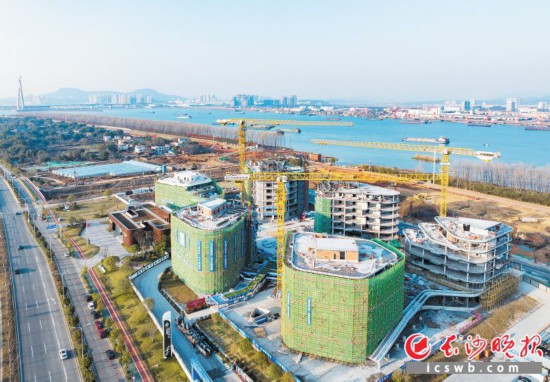 望城以大泽湖·海归小镇研发中心为核心，沿湘江布局400亩的创新产业带。  长沙晚报全媒体记者 邹麟 摄