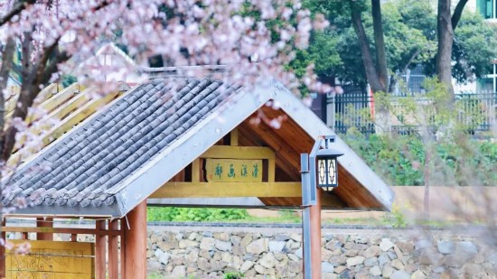 春天的清溪村。益阳市清溪文学村事务中心供图